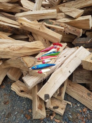 20210925_124319.jpg 20210925_124319.jpg