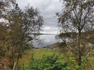 IMG_20210918_164253_resized_20210919_101306490.jpg IMG_20210918_164253_resized_20210919_101306490.jpg