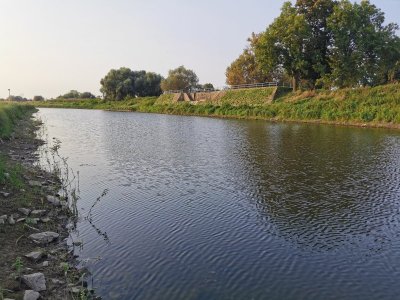 IMG_20210926_172218.jpg IMG_20210926_172218.jpg