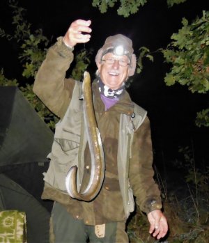 DSCN9146-F (1)-2.jpg