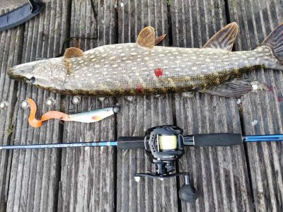 IMG-20211010-WA0003.jpg IMG-20211010-WA0003.jpg