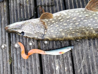 IMG-20211010-WA0002.jpg IMG-20211010-WA0002.jpg