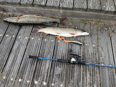 IMG-20211010-WA0001.jpg IMG-20211010-WA0001.jpg