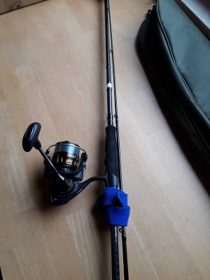 20211012_145731.jpg 20211012_145731.jpg