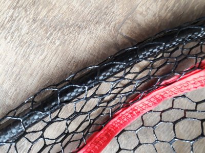 20211020_102145.jpg 20211020_102145.jpg