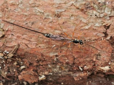 IMG_20211004_145819.jpg IMG_20211004_145819.jpg