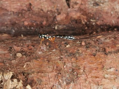 IMG_20211004_145833_edit_905534005410781.jpg IMG_20211004_145833_edit_905534005410781.jpg