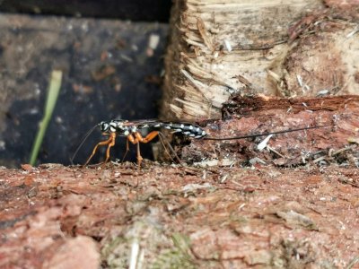 IMG_20211004_145943.jpg IMG_20211004_145943.jpg