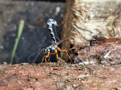 IMG_20211004_145952_edit_905480872029539.jpg IMG_20211004_145952_edit_905480872029539.jpg