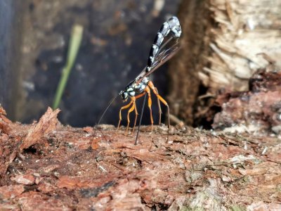 IMG_20211004_150014_edit_905402372911322.jpg IMG_20211004_150014_edit_905402372911322.jpg