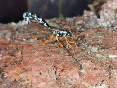 IMG_20211004_150313.jpg IMG_20211004_150313.jpg