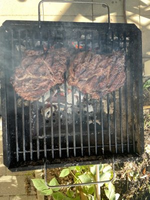 IMG_2908.JPEG IMG_2908.JPEG