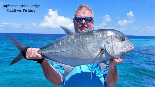 WhatsApp Image 2021-11-02 at 12.26.38.jpeg