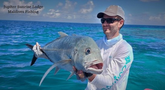 WhatsApp Image 2021-11-02 at 12.26.40.jpeg