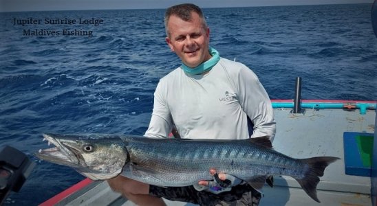 WhatsApp Image 2021-11-02 at 12.26.42.jpeg