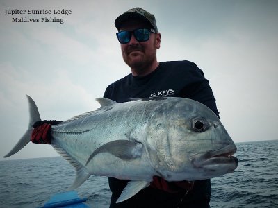 WhatsApp Image 2021-11-03 at 15.40.40.jpeg