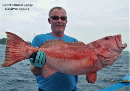 WhatsApp Image 2021-11-03 at 15.40.42 (1).jpeg