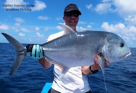 WhatsApp Image 2021-11-03 at 15.40.42.jpeg