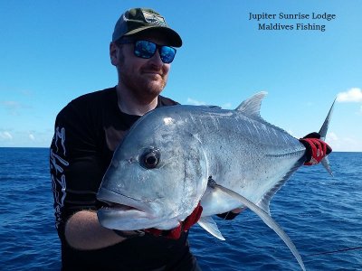 WhatsApp Image 2021-11-03 at 15.40.43.jpeg