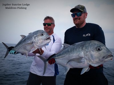 WhatsApp Image 2021-11-03 at 15.40.46.jpeg