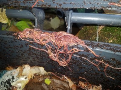 20211106_125728.jpg 20211106_125728.jpg