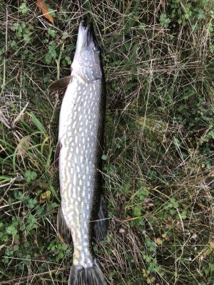 2B9D8528-1D5D-45AC-A162-F5045593B775.jpeg 2B9D8528-1D5D-45AC-A162-F5045593B775.jpeg