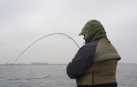 IMG-20211113-WA0009.jpg IMG-20211113-WA0009.jpg