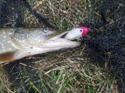 20211113_152614.jpg 20211113_152614.jpg