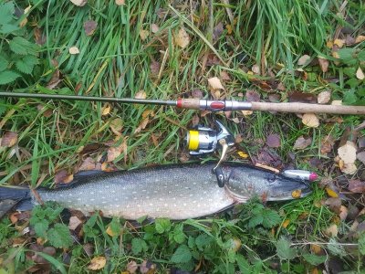 20211113_160025.jpg 20211113_160025.jpg