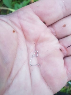 20211113_160237.jpg 20211113_160237.jpg