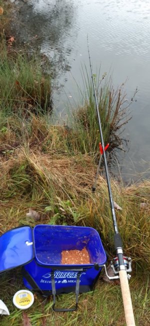 20211114_124840.jpg 20211114_124840.jpg