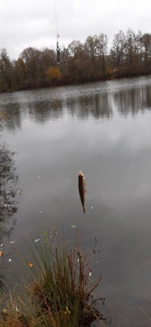 20211114_132347.jpg 20211114_132347.jpg