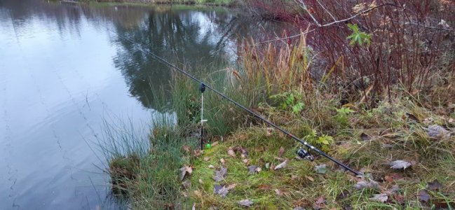 20211114_154943.jpg 20211114_154943.jpg