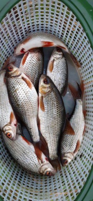 20211114_160512.jpg 20211114_160512.jpg