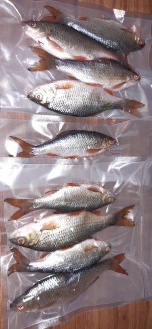 20211114_173458.jpg 20211114_173458.jpg