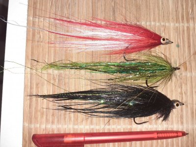 20211115_202047.jpg 20211115_202047.jpg