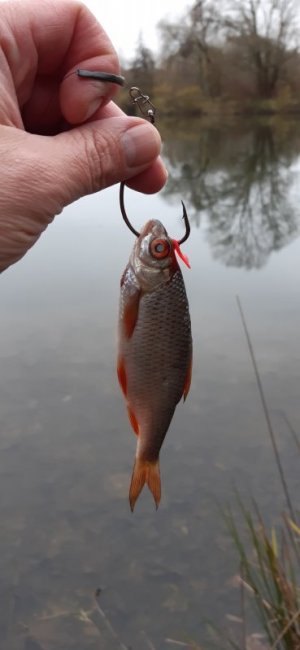 20211116_141751.jpg 20211116_141751.jpg