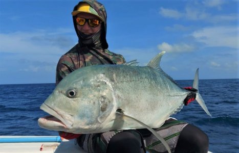 WhatsApp Image 2021-11-21 at 04.40.54.jpeg