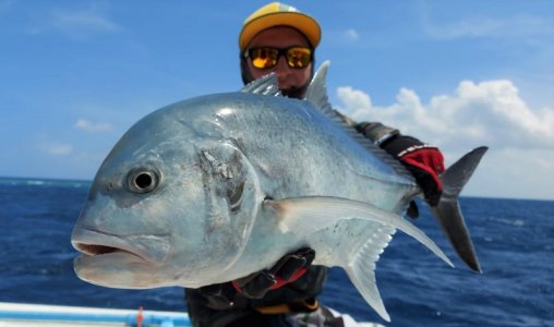 WhatsApp Image 2021-11-21 at 04.40.55.jpeg