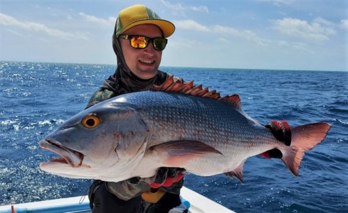 WhatsApp Image 2021-11-21 at 04.40.58.jpeg