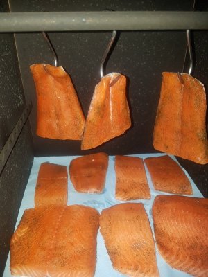 20211127_120822.jpg 20211127_120822.jpg