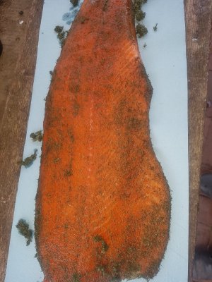 20211127_112550.jpg 20211127_112550.jpg