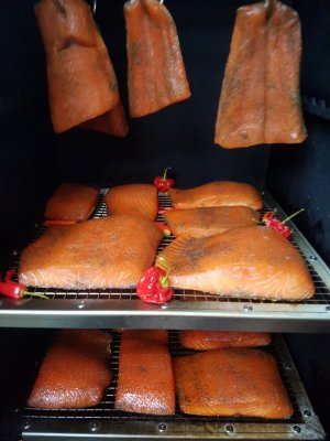 20211129_154850.jpg 20211129_154850.jpg