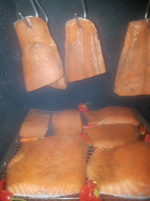 20211127_190948.jpg 20211127_190948.jpg