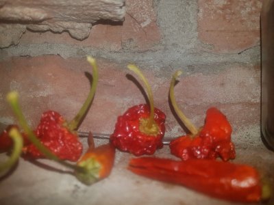 20211130_161027.jpg 20211130_161027.jpg