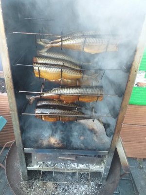 20211130_141945.jpg 20211130_141945.jpg