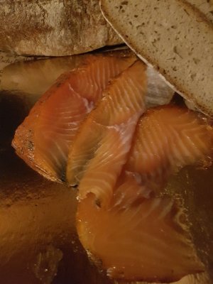 20211201_155049.jpg 20211201_155049.jpg