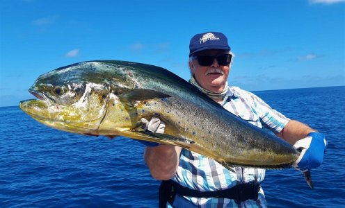 WhatsApp Image 2021-12-01 at 16.46.50.jpeg