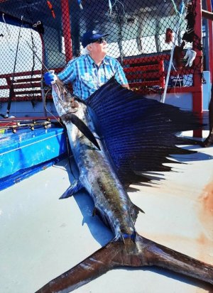 WhatsApp Image 2021-12-01 at 16.46.49.jpeg