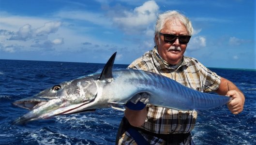 WhatsApp Image 2021-12-01 at 16.46.46.jpeg